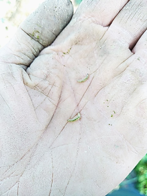 Photo Florian 2 mai 22.JPG